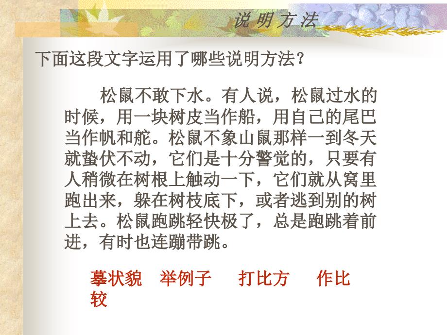 说明文的阅读复习课件_第4页