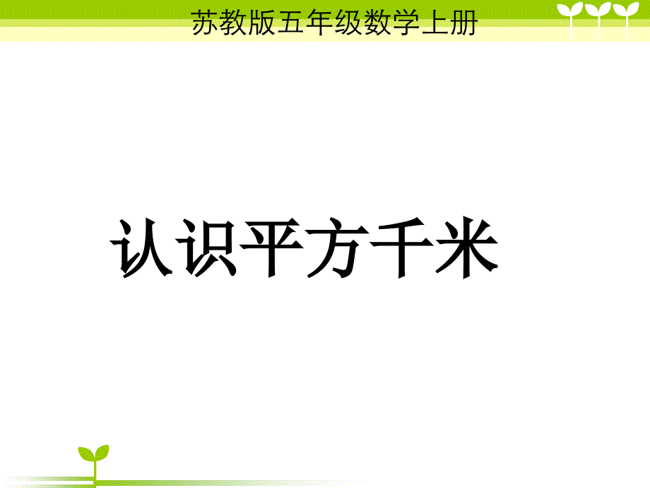 苏教版数学五上《认识平方千米》之四课堂讲解_第1页