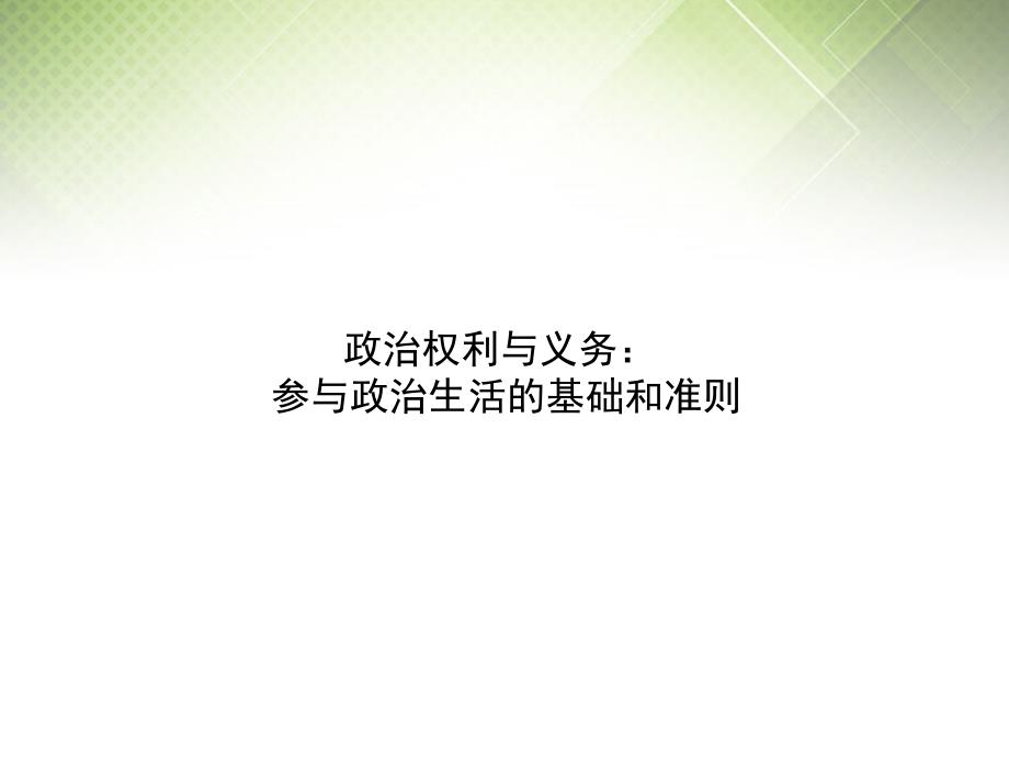 广东省揭阳一中高考政治复习1.2《政治权利与义务参与政治生活的基础和准则》课件7新人教版必修_第1页