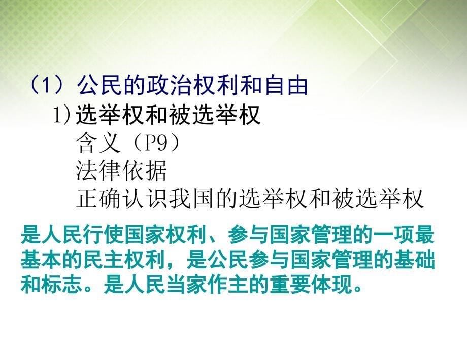 广东省揭阳一中高考政治复习1.2《政治权利与义务参与政治生活的基础和准则》课件7新人教版必修_第5页