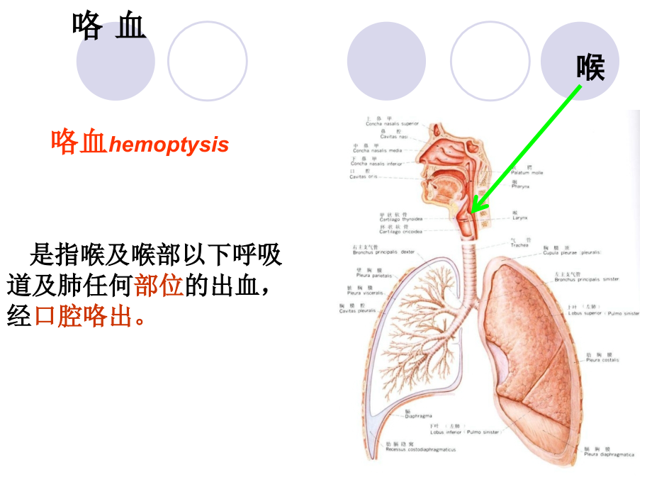 《问诊咯血》ppt课件_第2页