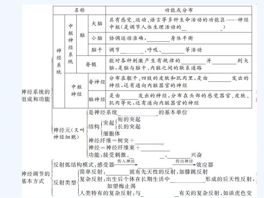 《中考精英》人教版生物第一轮系统复习篇 课件 第六章　人体生命活动的调节_第5页