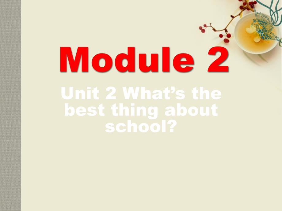 九年级英语下册module2unit2what’sthebestthingaboutschool课件外研版_第2页