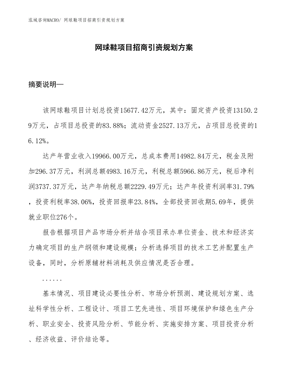 网球鞋项目招商引资规划方案_第1页