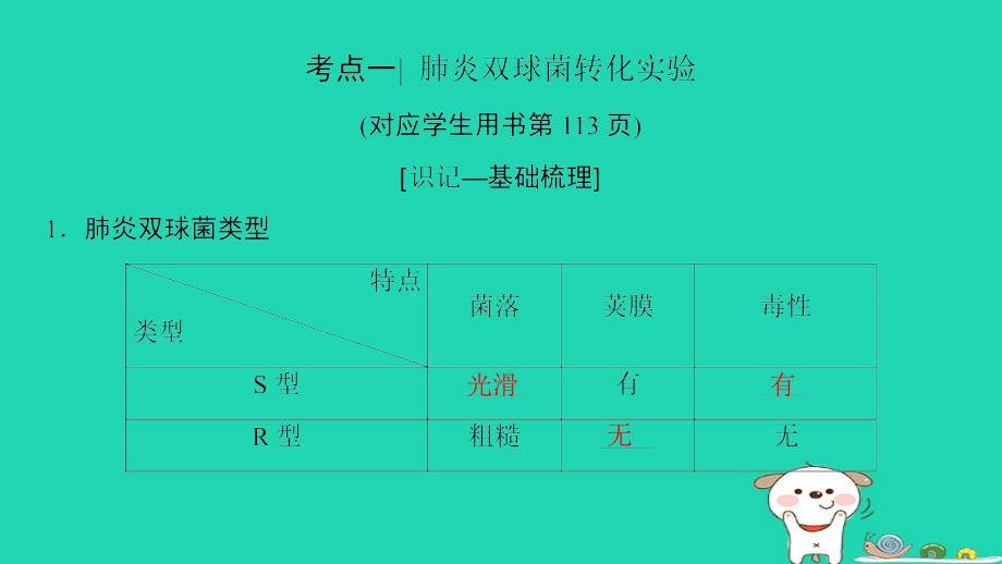 全国版2019版高考生物一轮复习第6单元遗传的分子基础第1讲dna是主要的遗传物质课件_第4页