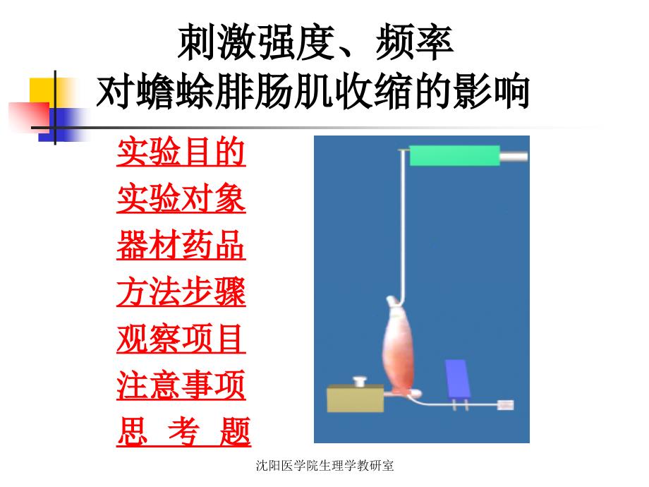 刺激强度、频率对蟾蜍骨骼肌收缩的影响_第1页