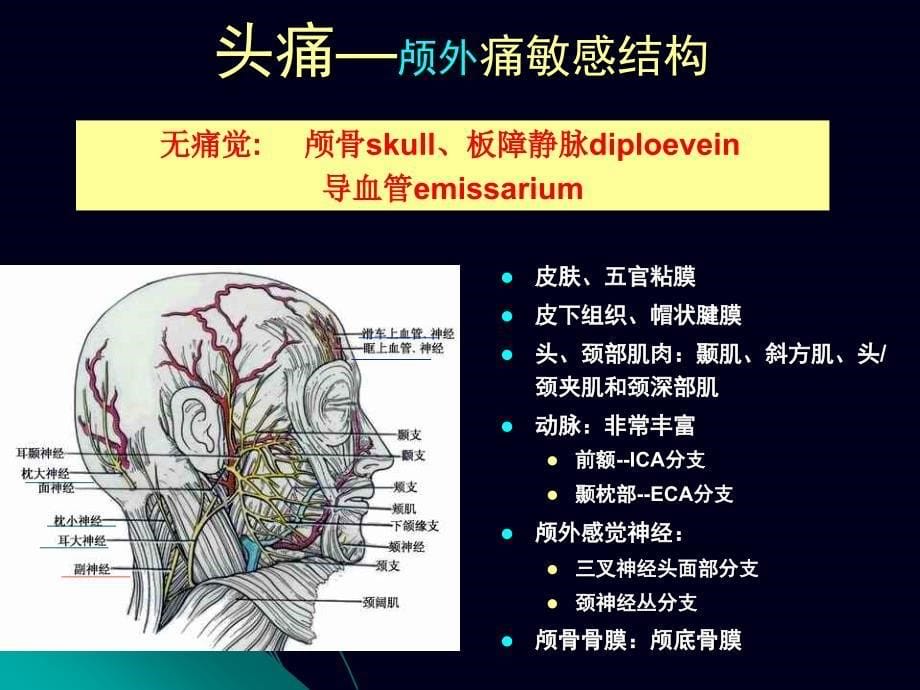 神经系统常见症状ppt课件_第5页