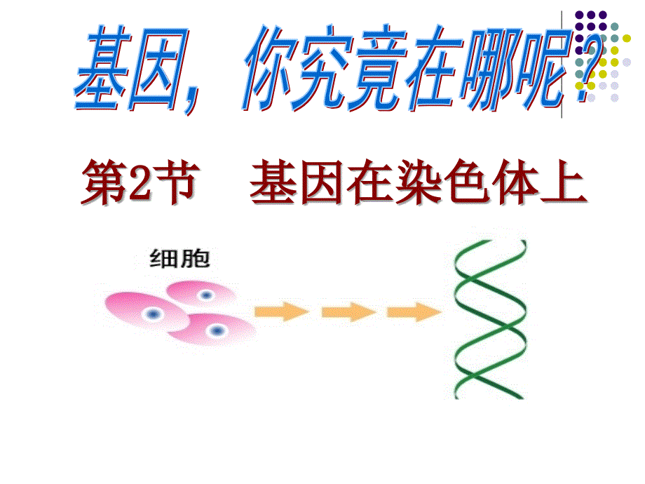 zh基因在染色体上ppt课件_第1页