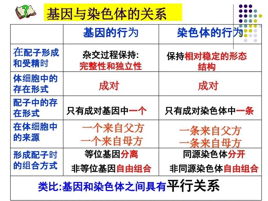 zh基因在染色体上ppt课件_第5页