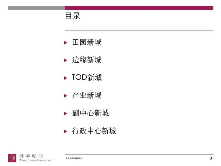 某著名地产策划公司六种新城模式及案例_第5页