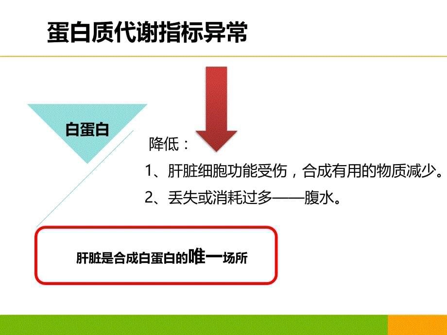 新版肝功能指标解读ppt课件_第5页