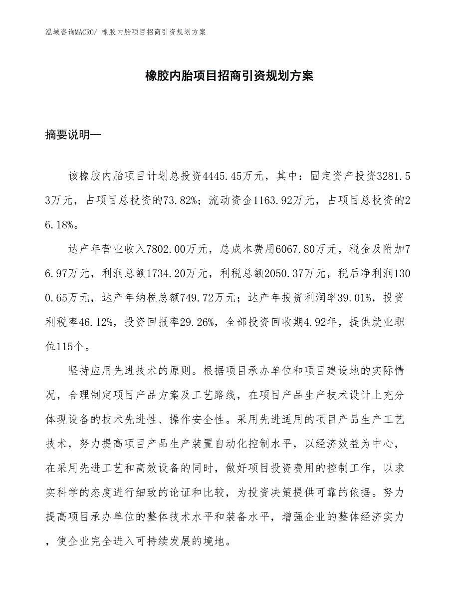 橡胶内胎项目招商引资规划方案_第1页