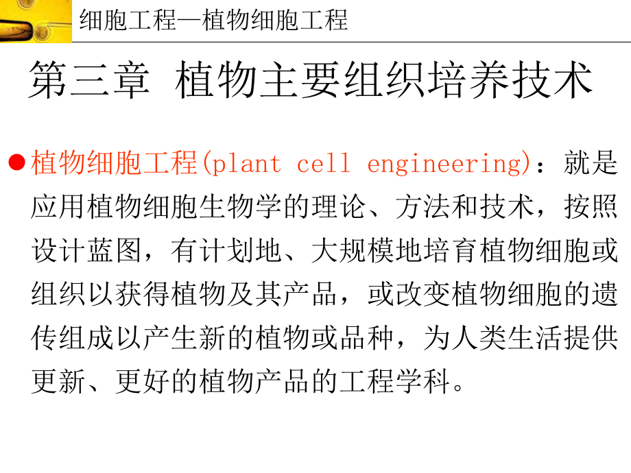 植物主要组织培养技术（4学时_第1页