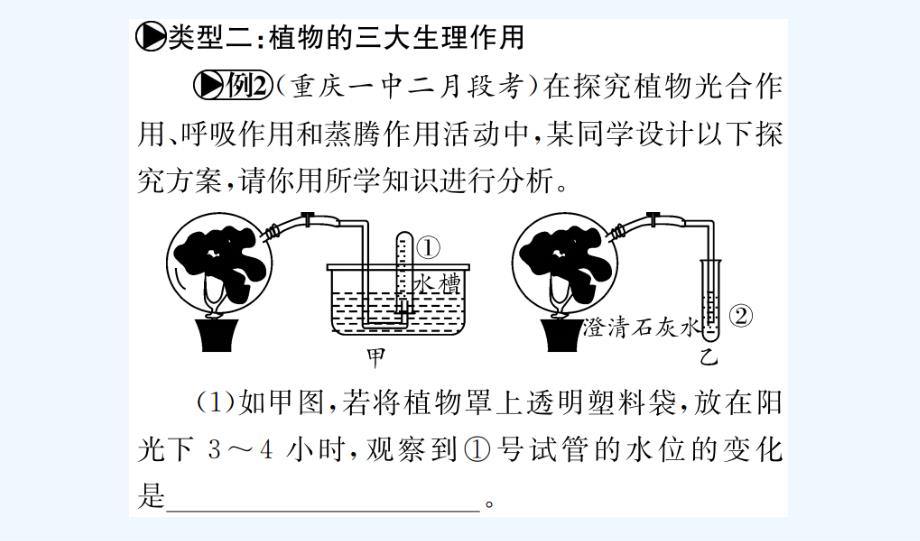 《掌控中考》中考生物（广西玉林地区）专题综合突破：专题三  生物圈中的绿色植物（共29张ppt）_第3页