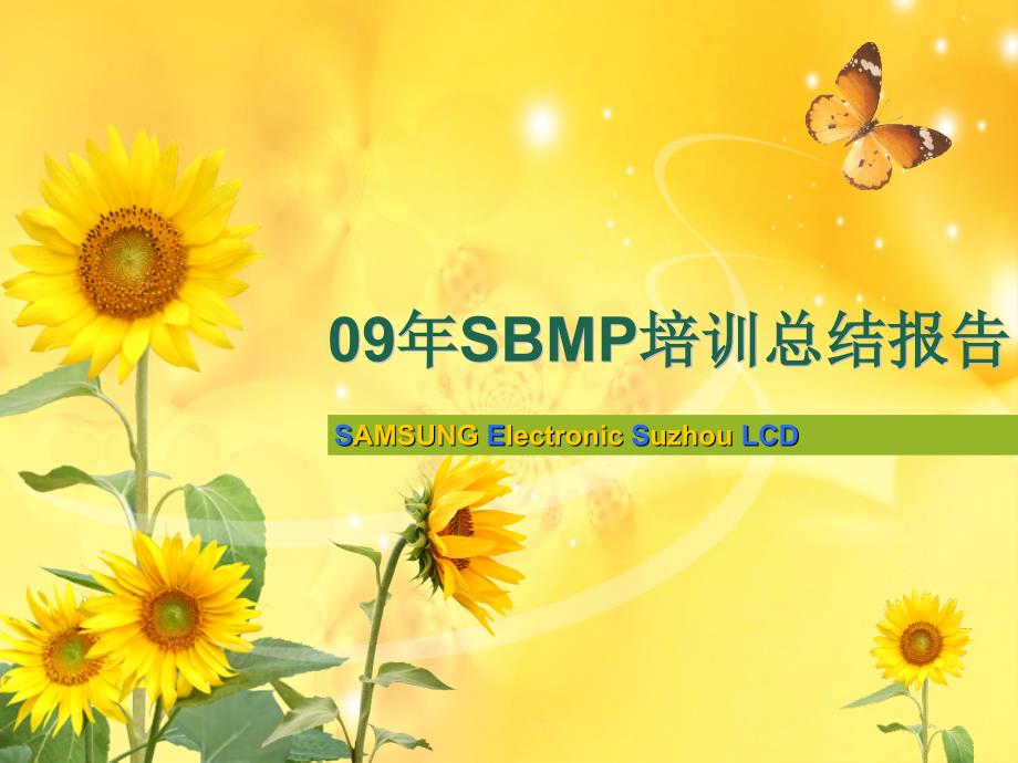 sbmp培训总结报告_第1页