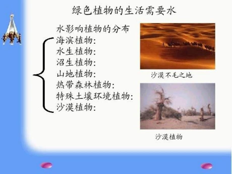 《绿色植物的生活需要水》课件8（6页）（新人教生物七年级上）_第4页