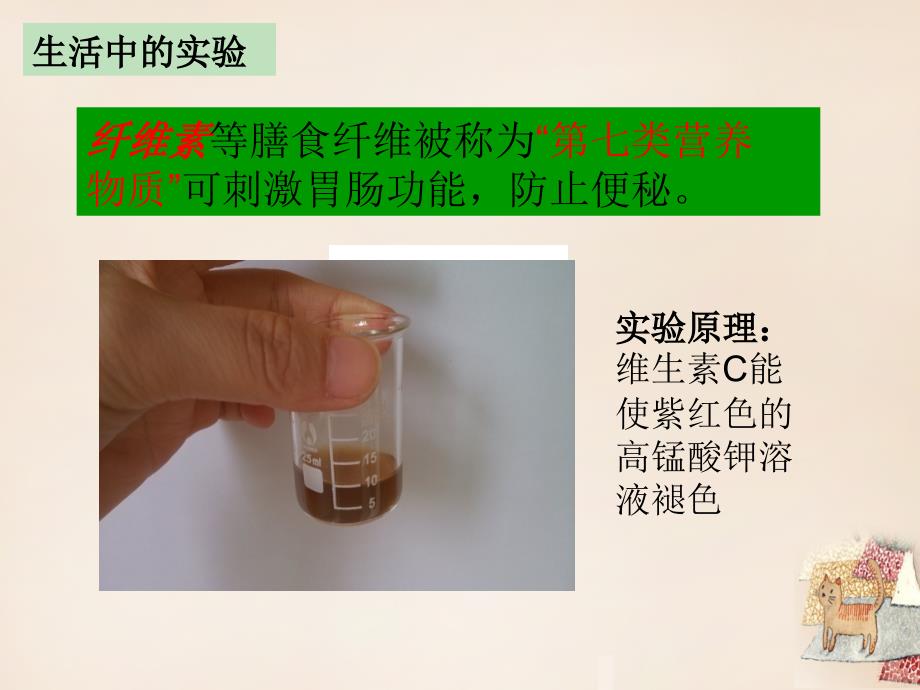 江苏省2014年七年级生物上册3.5.3合理的膳食优质课评比课件（新版）苏科版_第3页