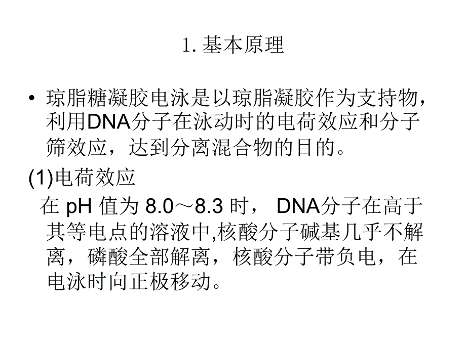 《核酸电泳与检测》ppt课件_第2页