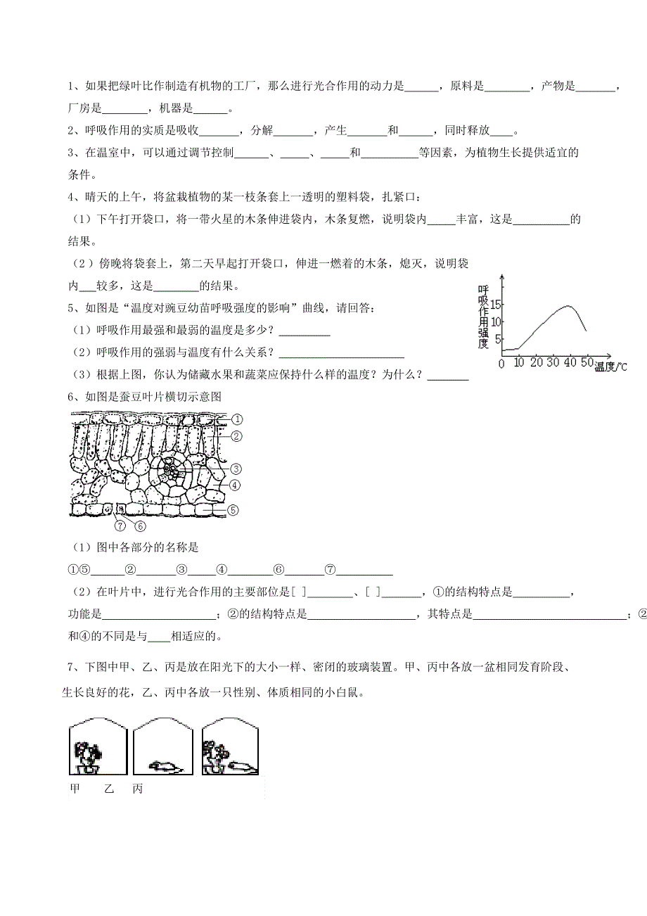 七年级生物上册 第6章绿色植物的光合作用和呼吸作用复习检测题 苏教版_第3页