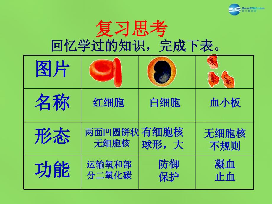 山东省淄博市临淄区第八中学七年级生物下册4.2血流的管道—血管课件新人教版_第1页