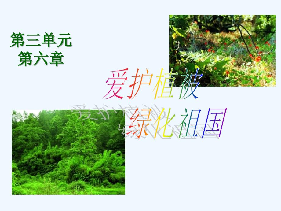 七年级生物上册《第三单元 第六章 爱护植被,绿化祖国》课件1 人教新课标版_第2页