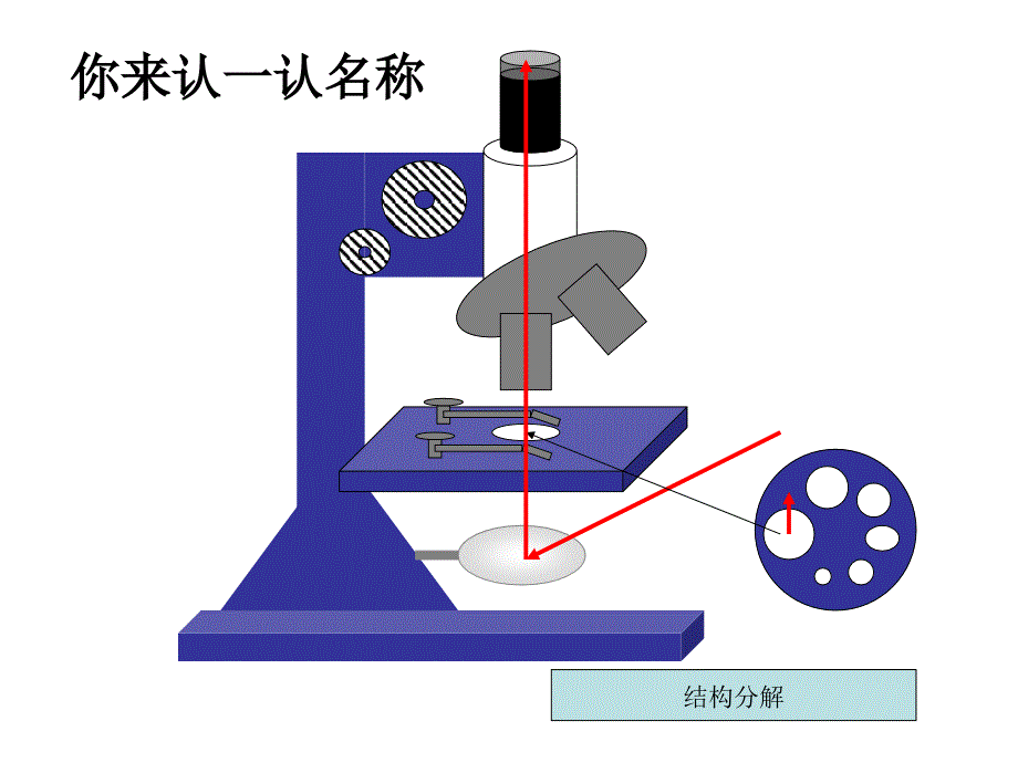 2015年生物实验操作培训显微镜使用ppt课件_第4页