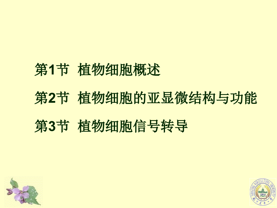 《植物细胞生理》ppt课件_第2页