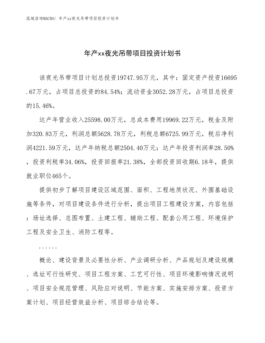 年产xx夜光吊带项目投资计划书_第1页