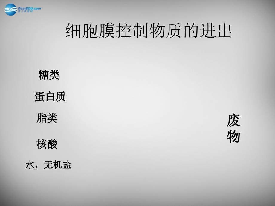 安徽省长丰县下塘实验中学七年级生物上册《2.1.4细胞的生活》课件（新版）新人教版_第3页