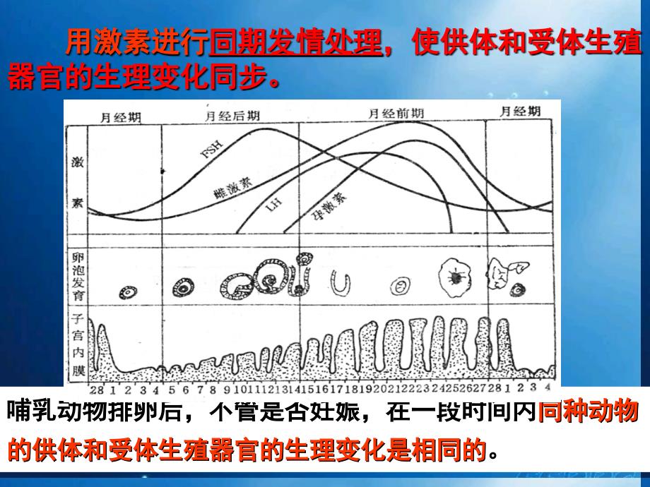 高考生物《生态工程》专题复习课件新人教版_第2页