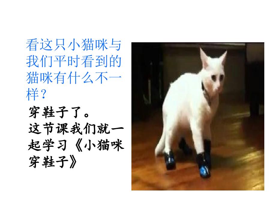 小猫咪穿鞋子（北师大版_第3页