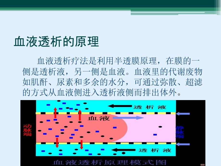 《血透副本》ppt课件_第3页