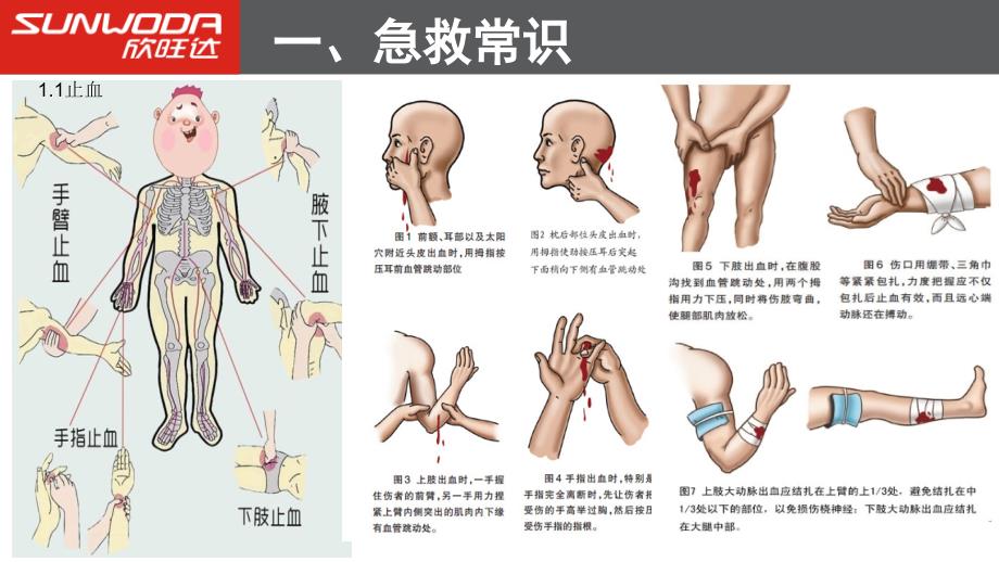 急救箱管理培训ppt课件_第3页