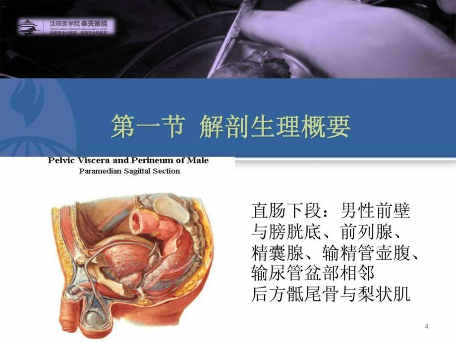 课件-第四十章结、直肠与肛管疾病（上_第4页