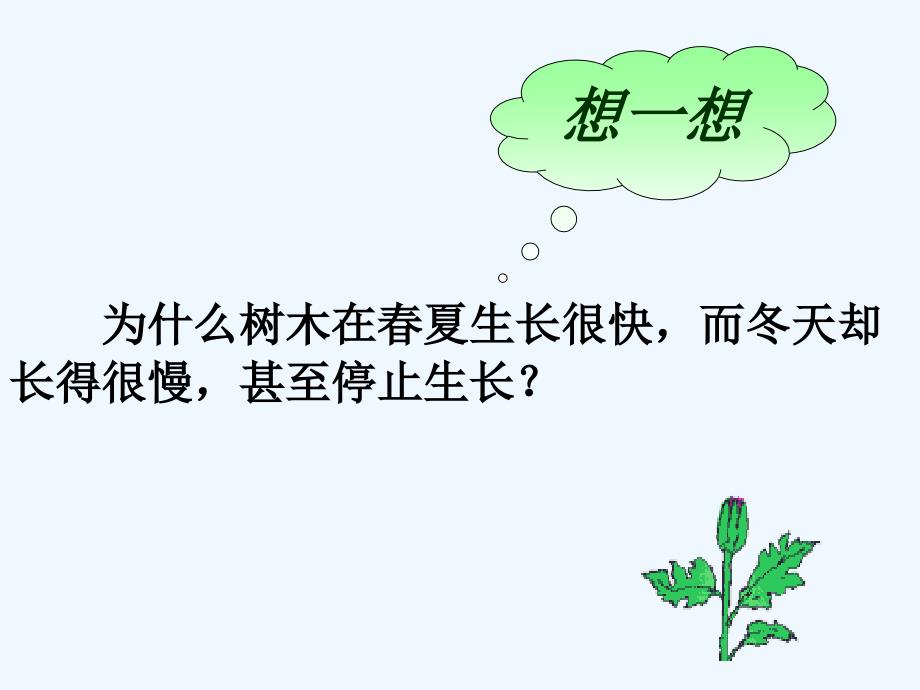 人教版生物七年级上册同步课件：第3单元第4章 第二节 绿色植物对有机物的利用 课件4_第4页