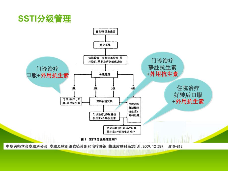 夫西地酸(奥络)及复方粘多菌素(孚诺)对比_第3页