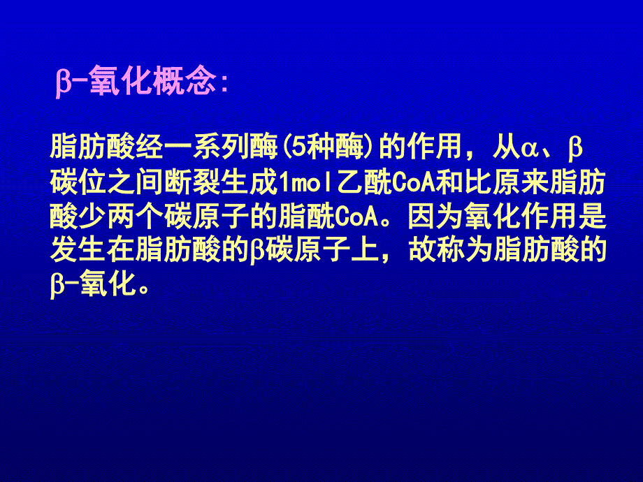 生物化学脂肪代谢_第3页