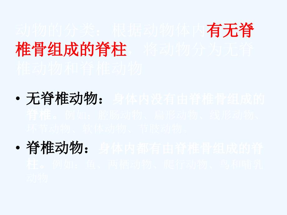 八年级生物人教版上册课件：5.1.4《鱼》课件4_第2页