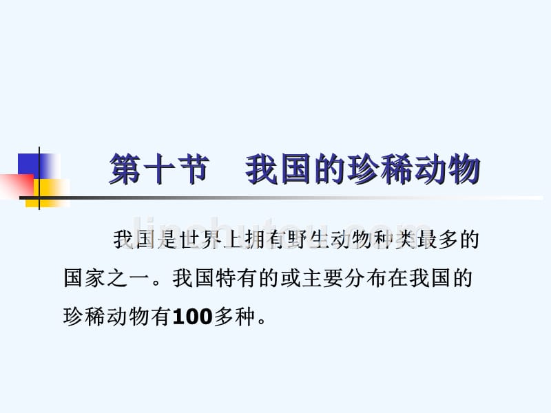 冀教版 七年级生物上册课件：1.4.10我国的珍稀动物（2）_第1页