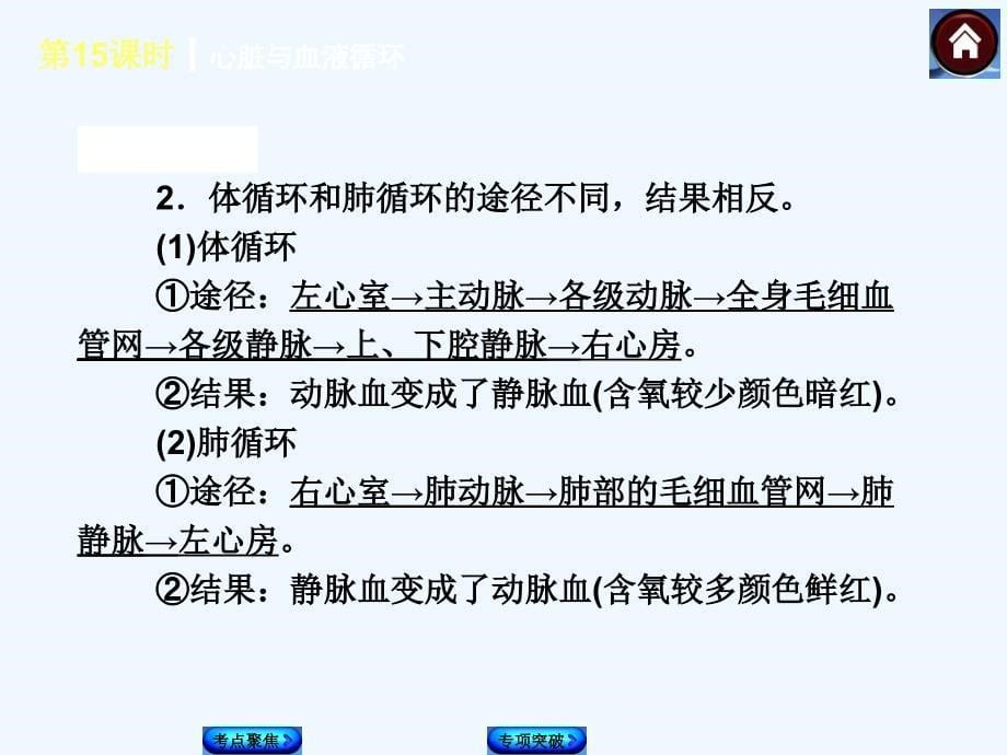 中考生物复习方案 心脏与血液循环（考点聚焦+专项突破，含试题）课件 新人教版_第5页