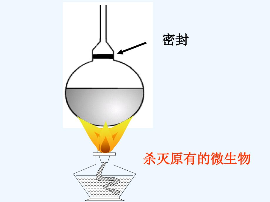 山东专用：济南版生物七年级上《生物学的研究方法》课件_第4页