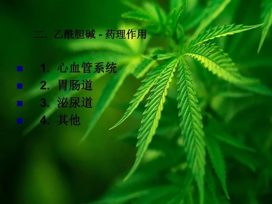 正确认识乙酰胆碱_第5页