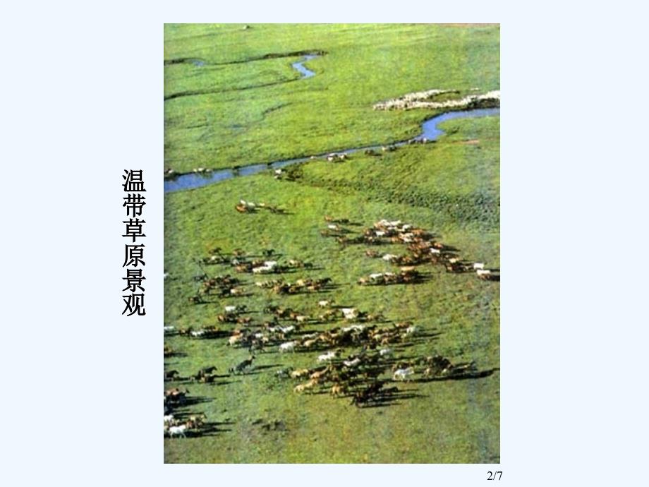 人教版生物八年级上册课件：第6单元第2章 图片欣赏：生态系统多样性之不同类型的草原_第2页