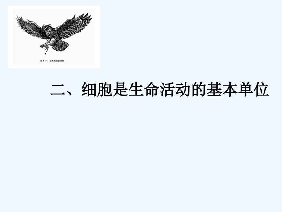 初中生物试题汇编复习课件-单元测试二、细胞是生命活动的基本单位_第1页