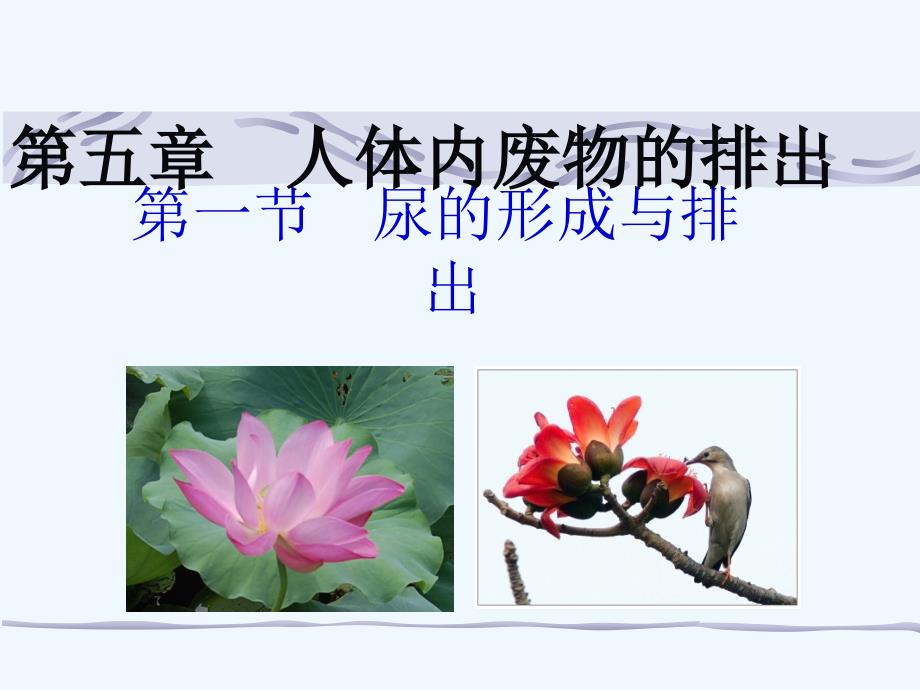 北京市和平北路学校生物人教版七年级下册 5.1 尿的形成和排出 课件_第1页