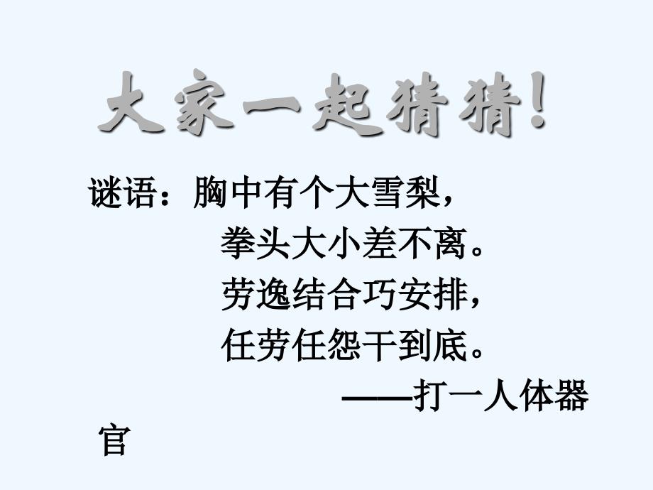 七年级生物下册 第三节《输送血液的泵-心脏》课件 新人教版_第3页