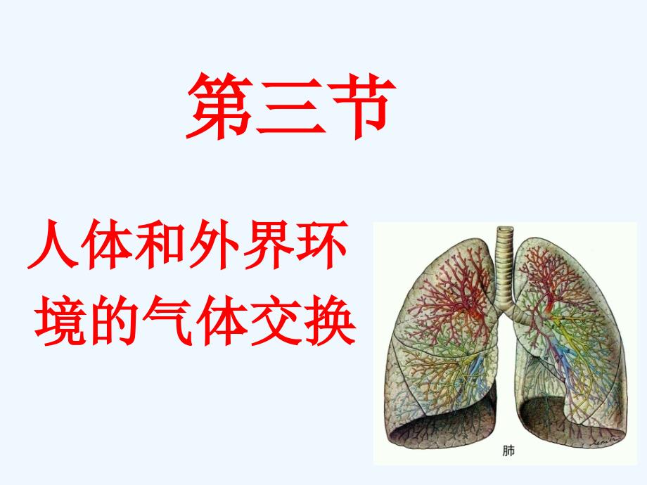 七年级生物下册 4.10.3 人体和外界环境的气体交换课件一 （新版）苏教版_第1页