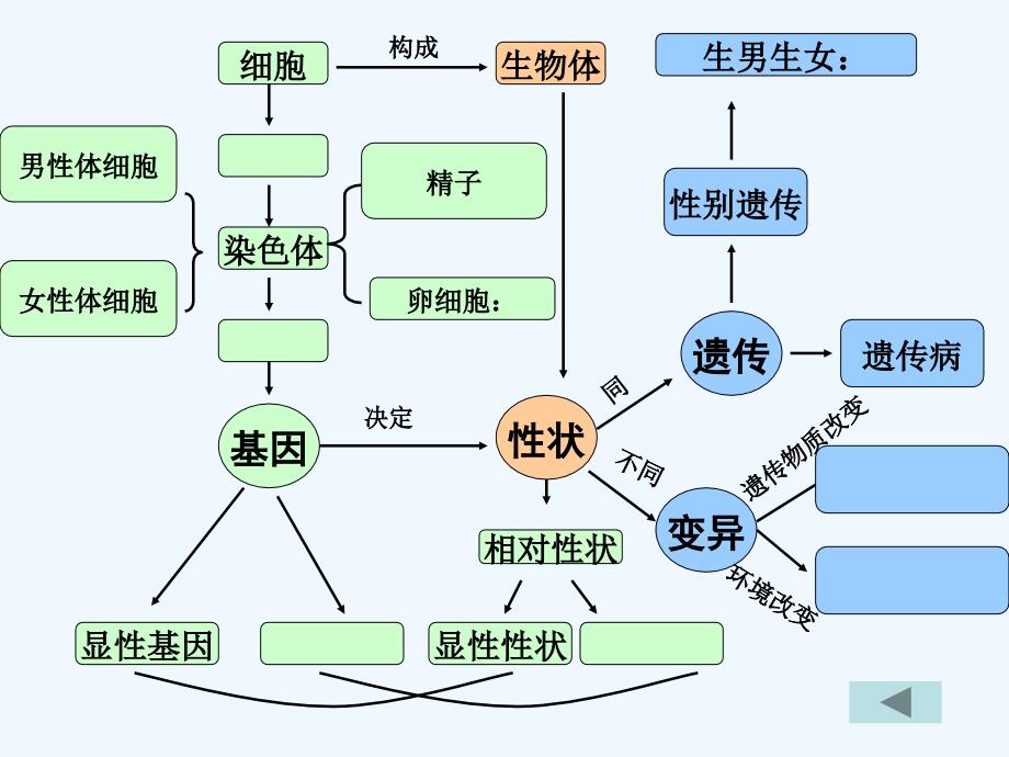 天津市葛沽三中八年级生物《生物的遗传与变异》课件_第3页