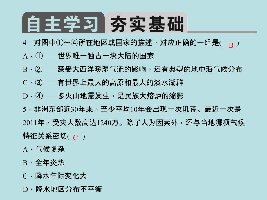 中考精英总复习地理（人教版）习题课件 第七章　东半球其他的地区和国家（共26张ppt）_第4页