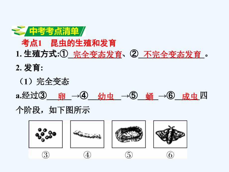 中考面对面（济南版）生物复习课件：第四单元第二章  动物生殖和发育_第4页